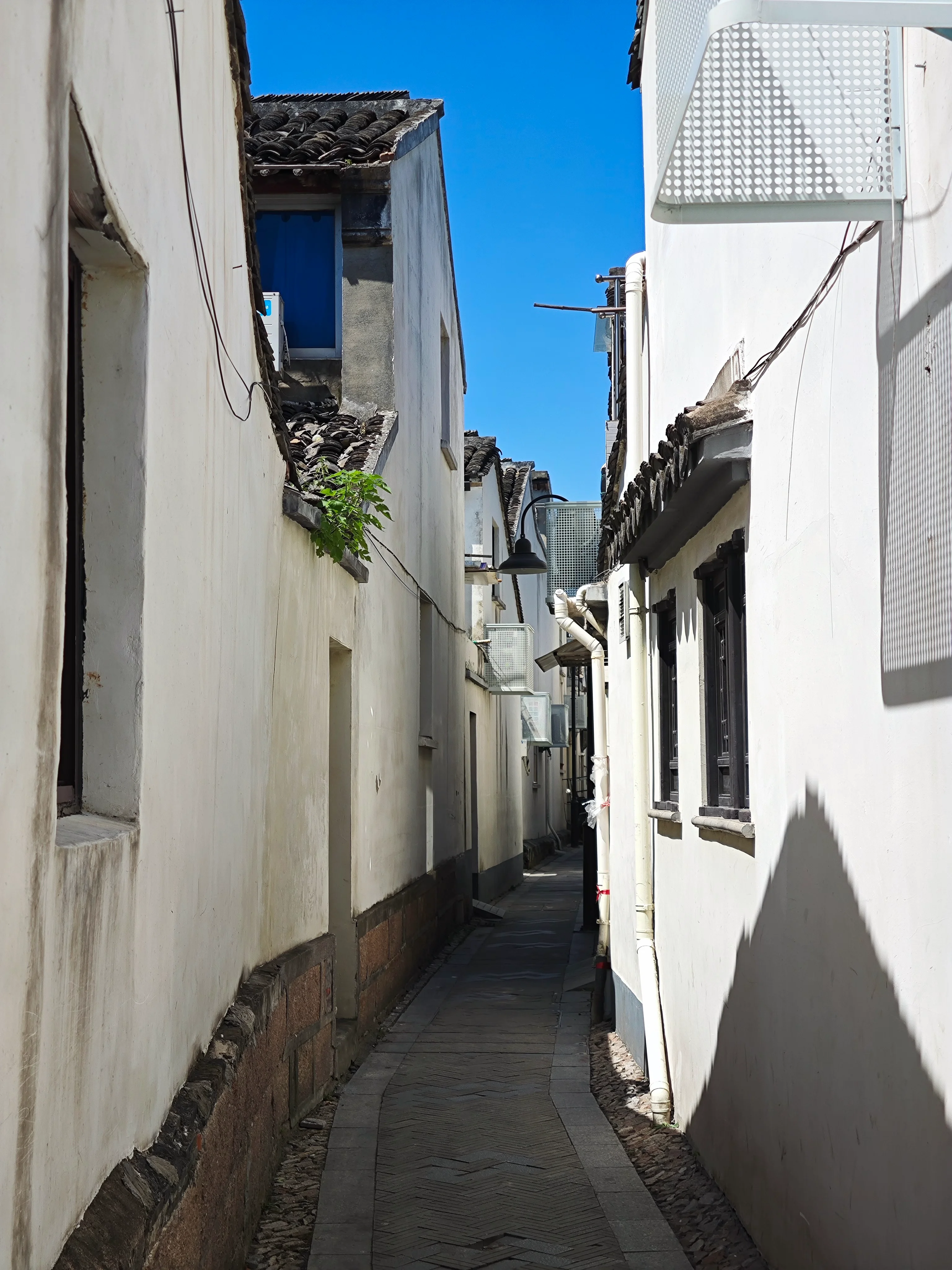 平江路20250827 (1).webp