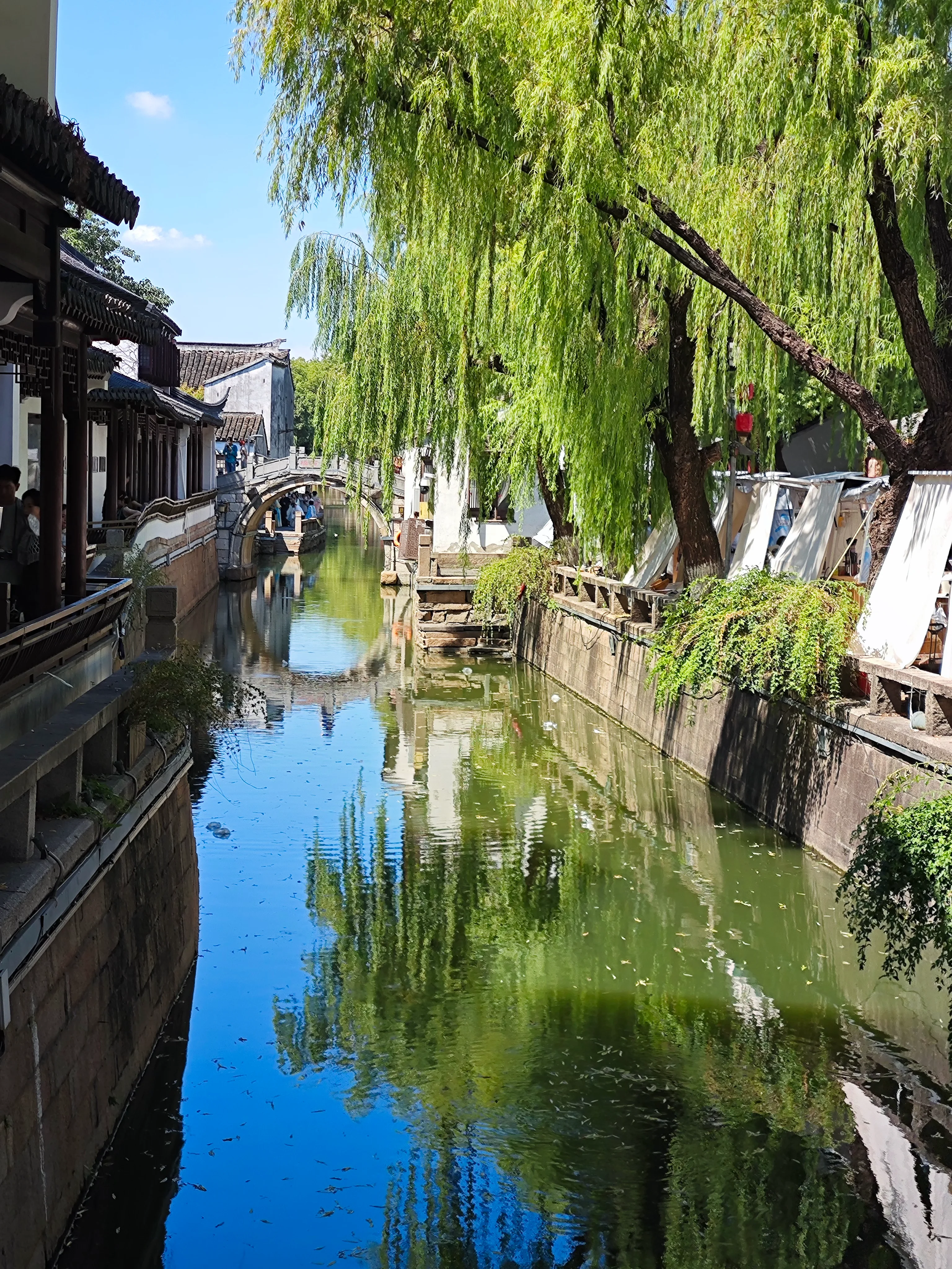 平江路20250827 (2).webp