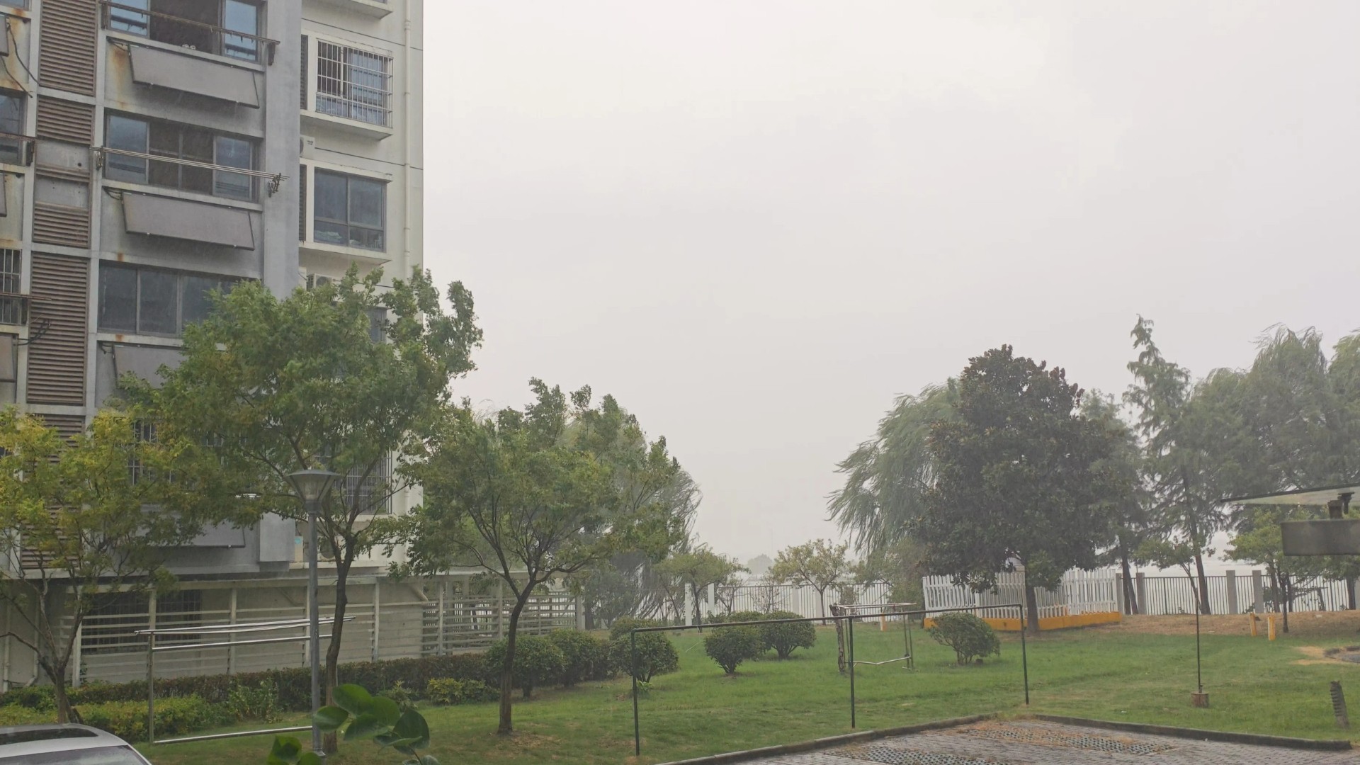 一杯奶茶，一场及时雨，一个重启的校园卡