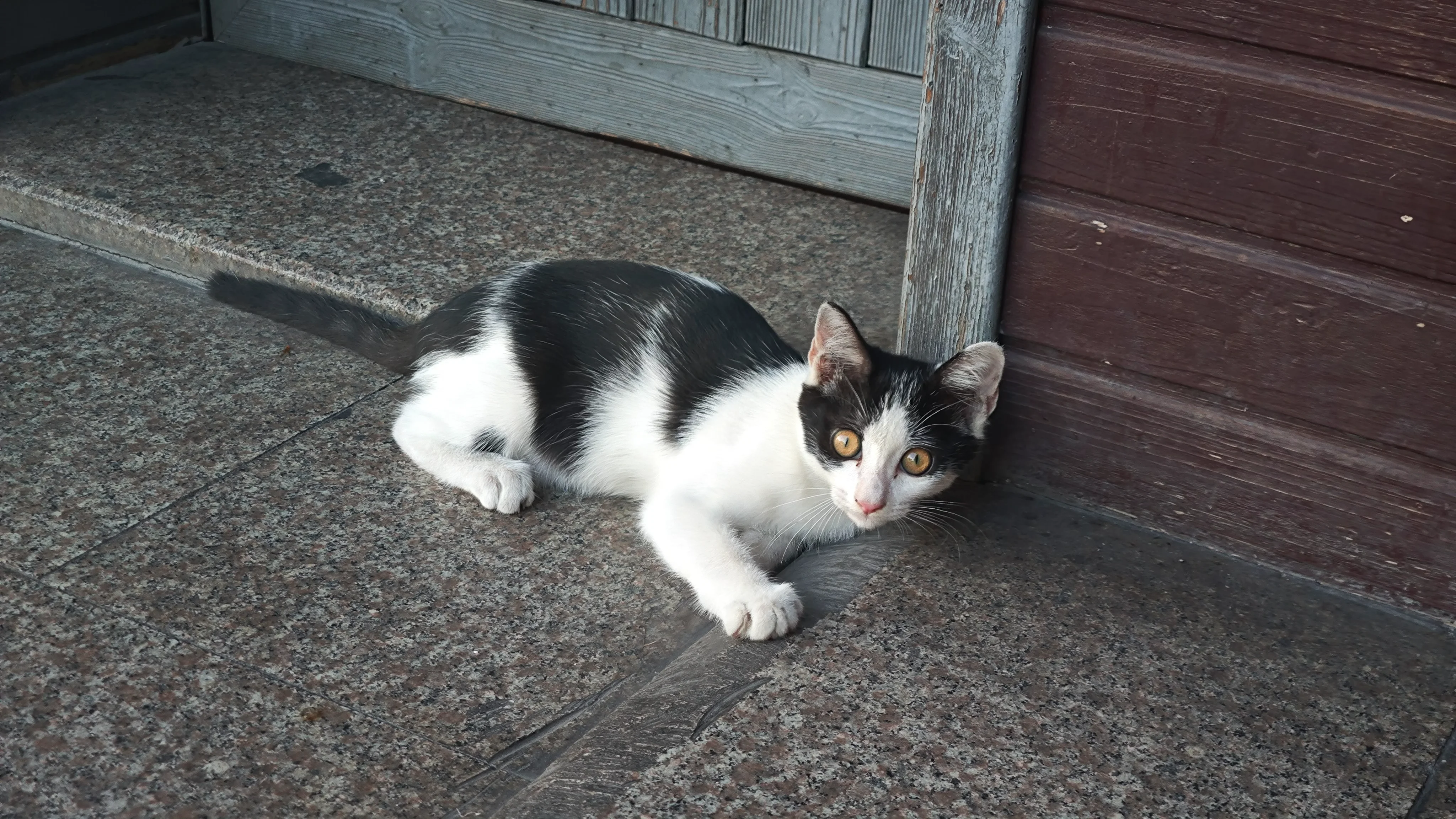 IMG_20250824_170149.webp