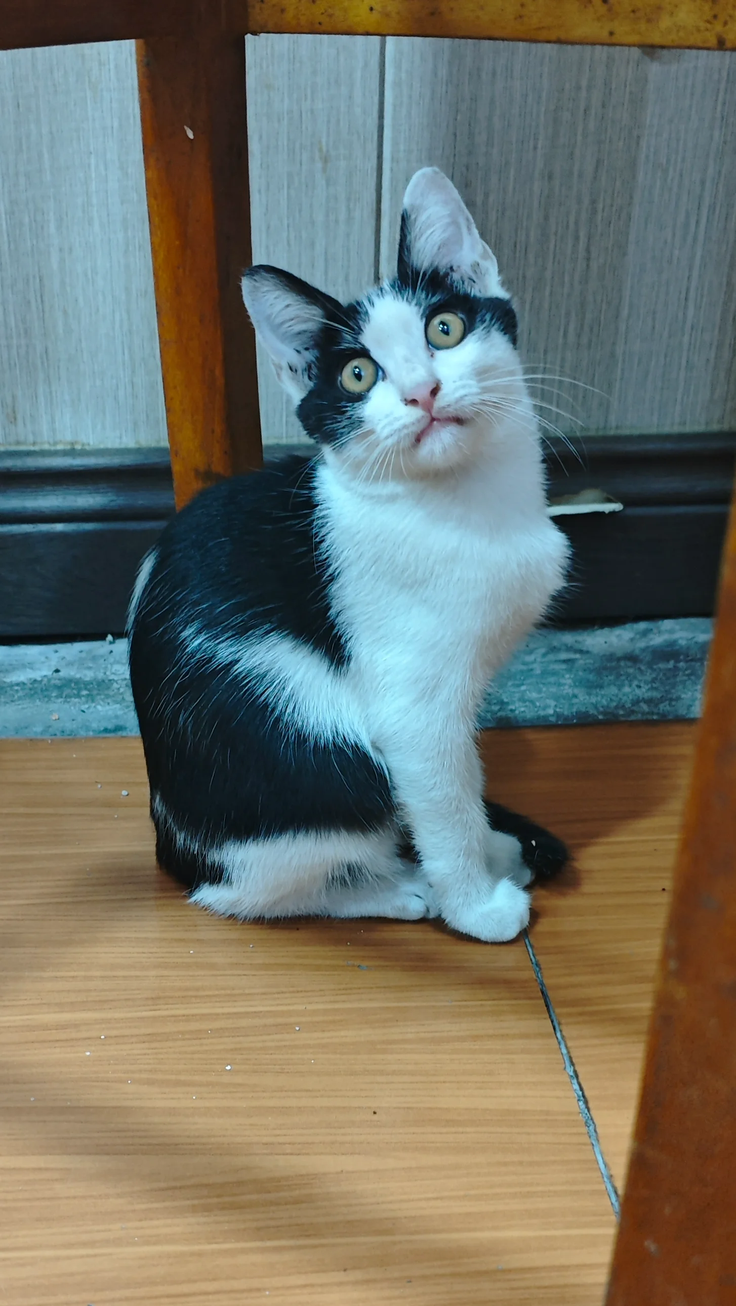 IMG_20250824_202553.webp